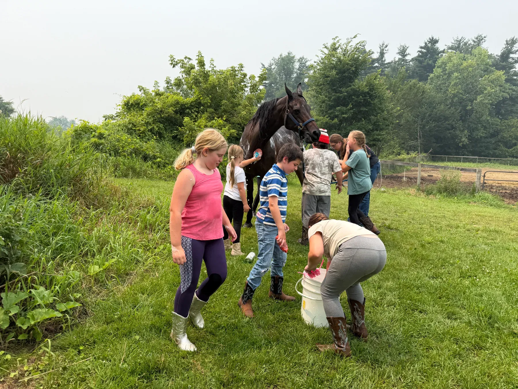 Campers working together on a hands-on horse care activity outdoors