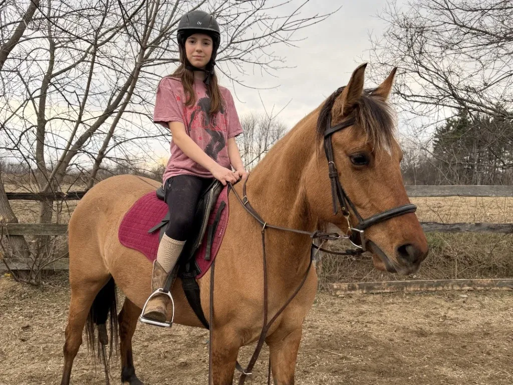 Lane, a calm young mare used for western riding lessons at MSB Riding Academy in Howell, Michigan