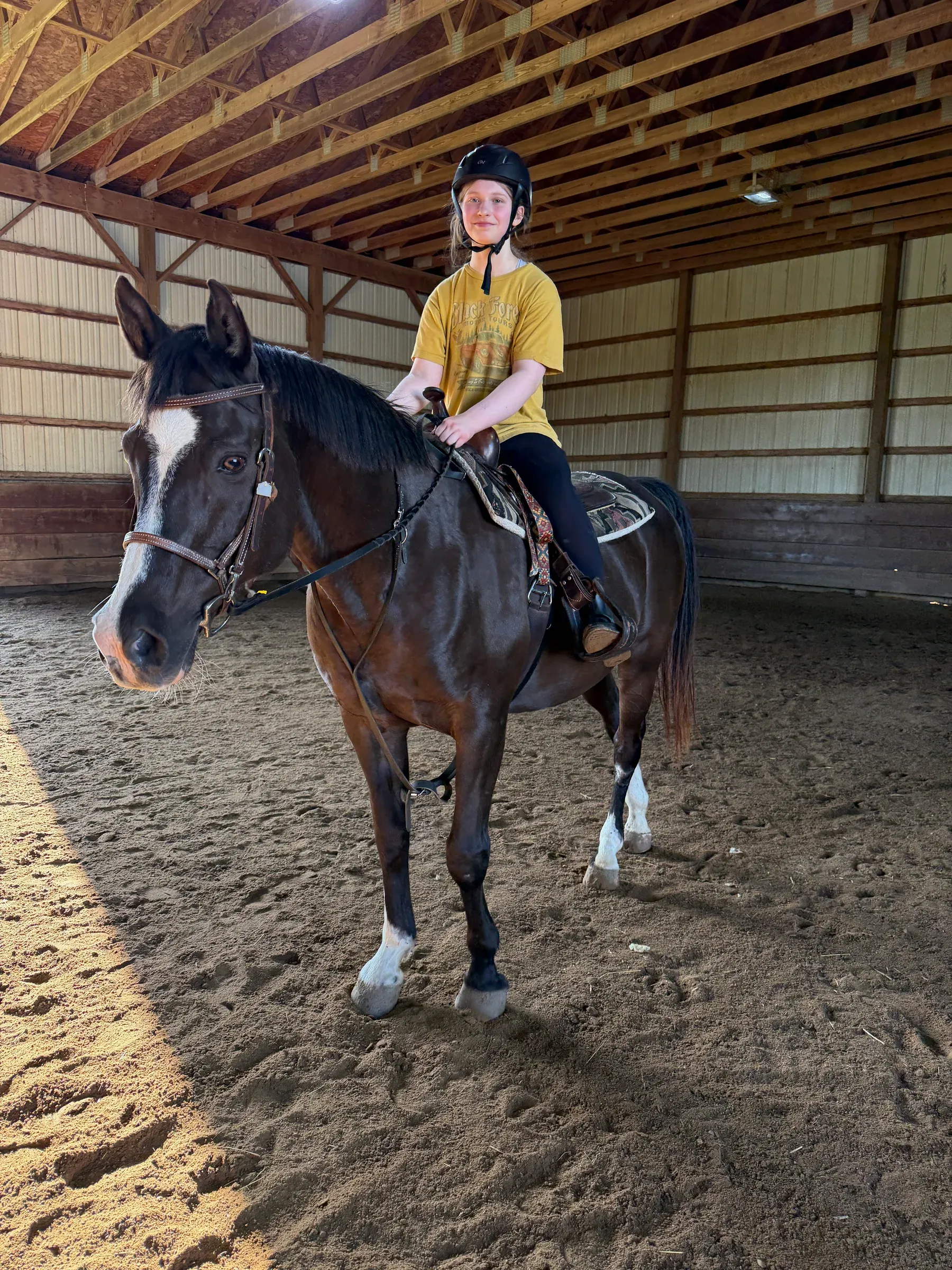 Tito, a big friendly gelding used for beginner riding lessons at MSB Riding Academy