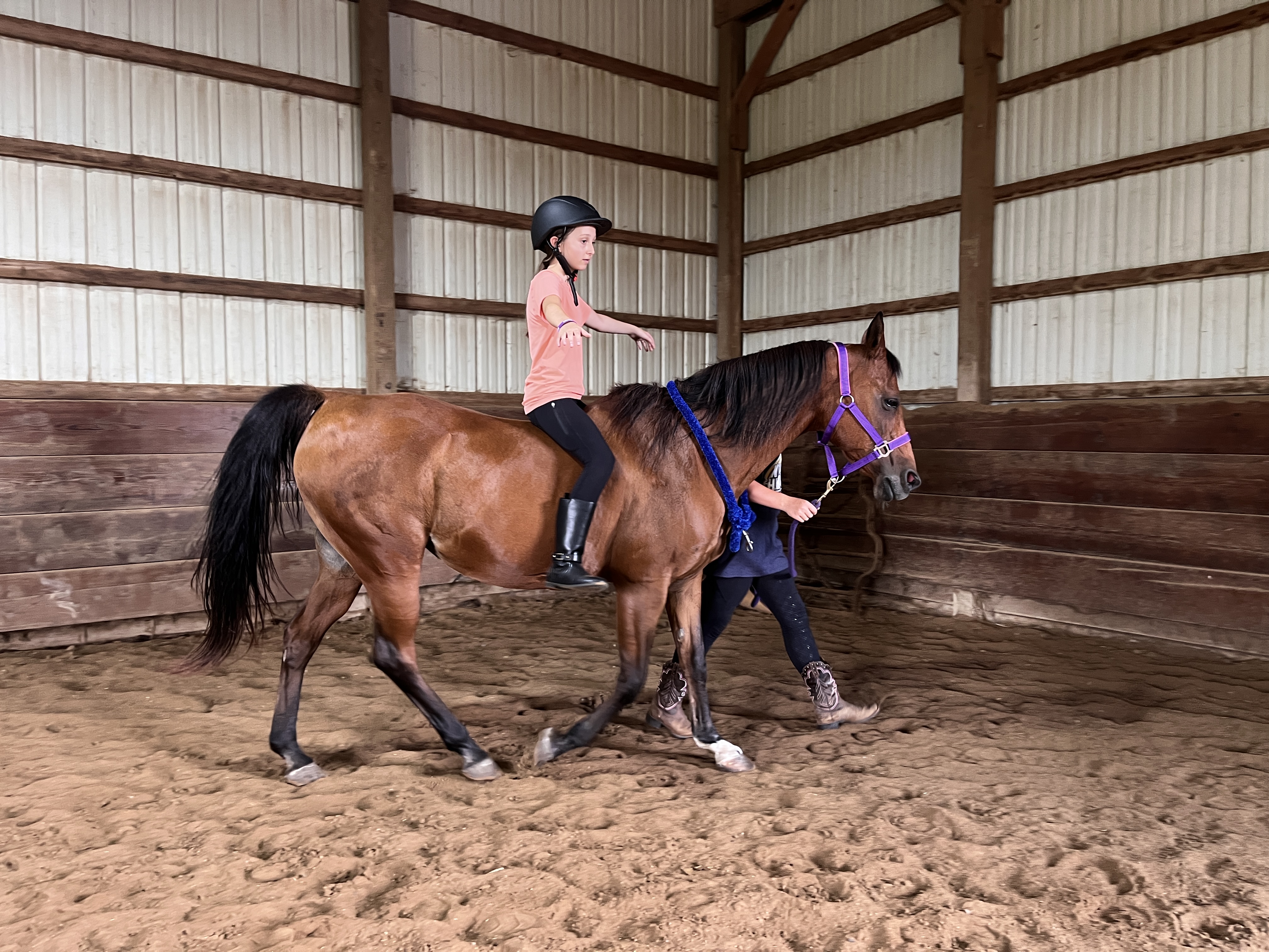 Lesson or barn moment at MSB Riding Academy in Howell — 2025–2026 season