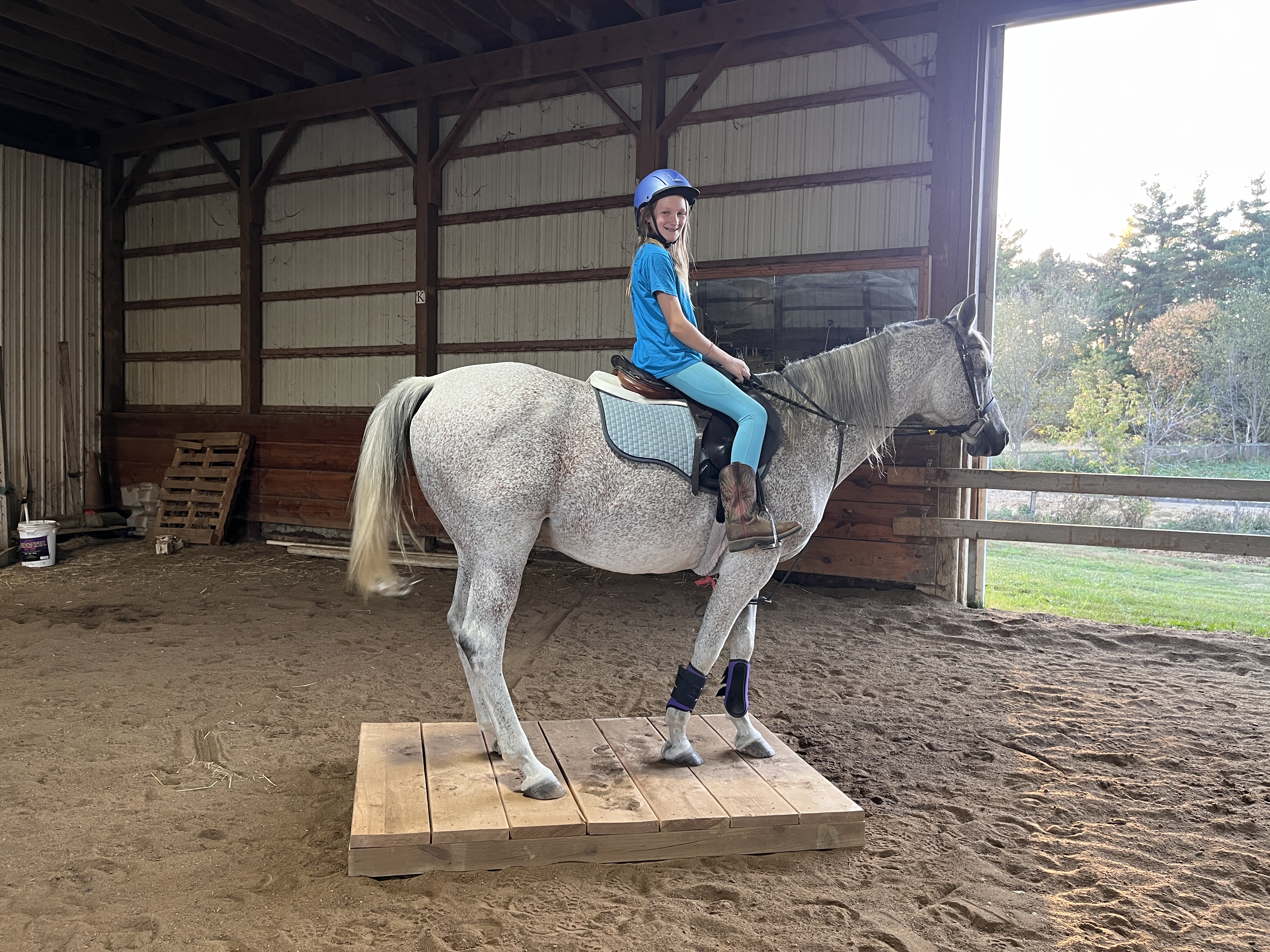 Riding academy scene at MSB in Howell, Michigan — 2025–2026 season