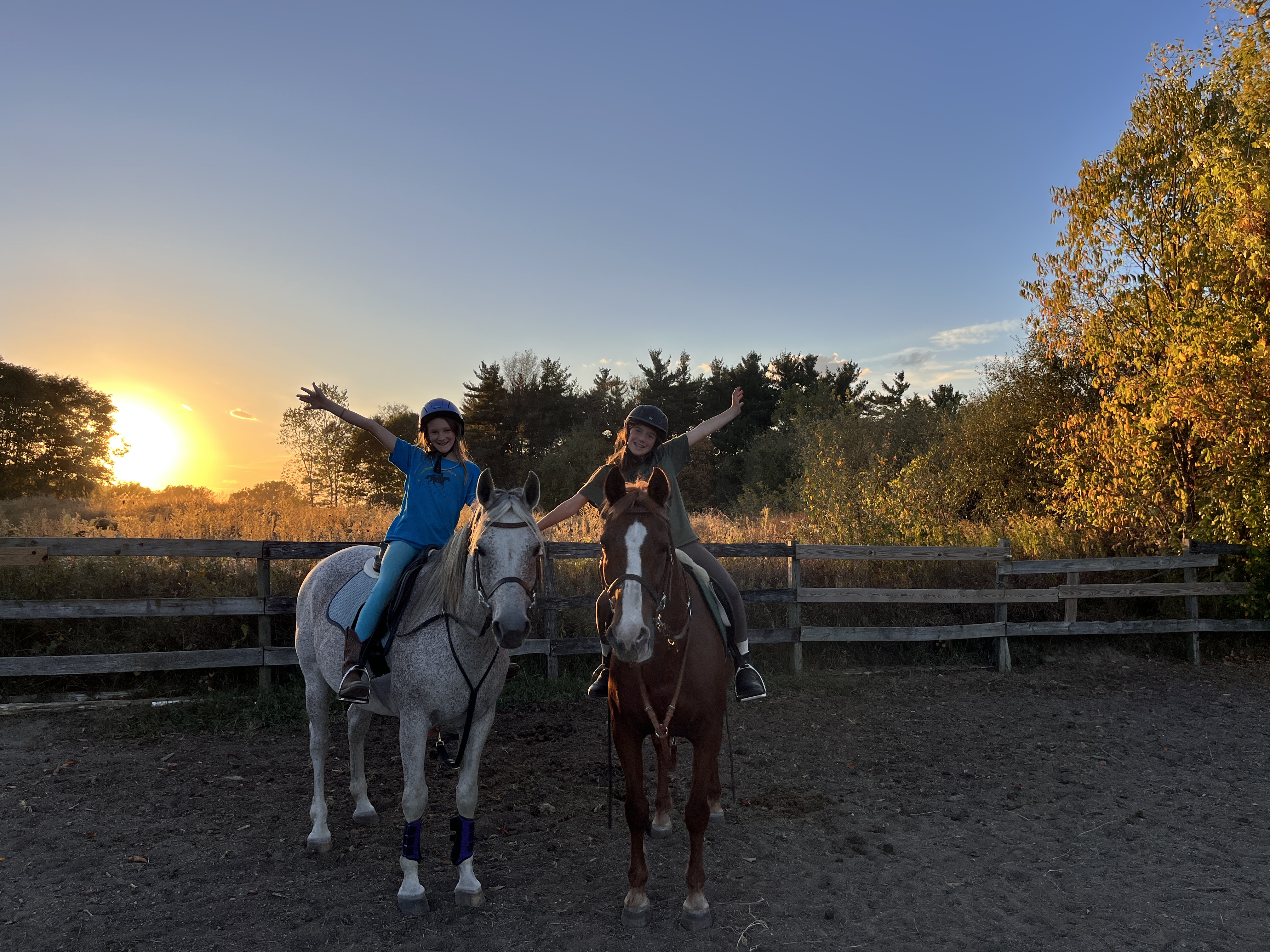 Horses and riders at MSB Riding Academy — 2025–2026 season