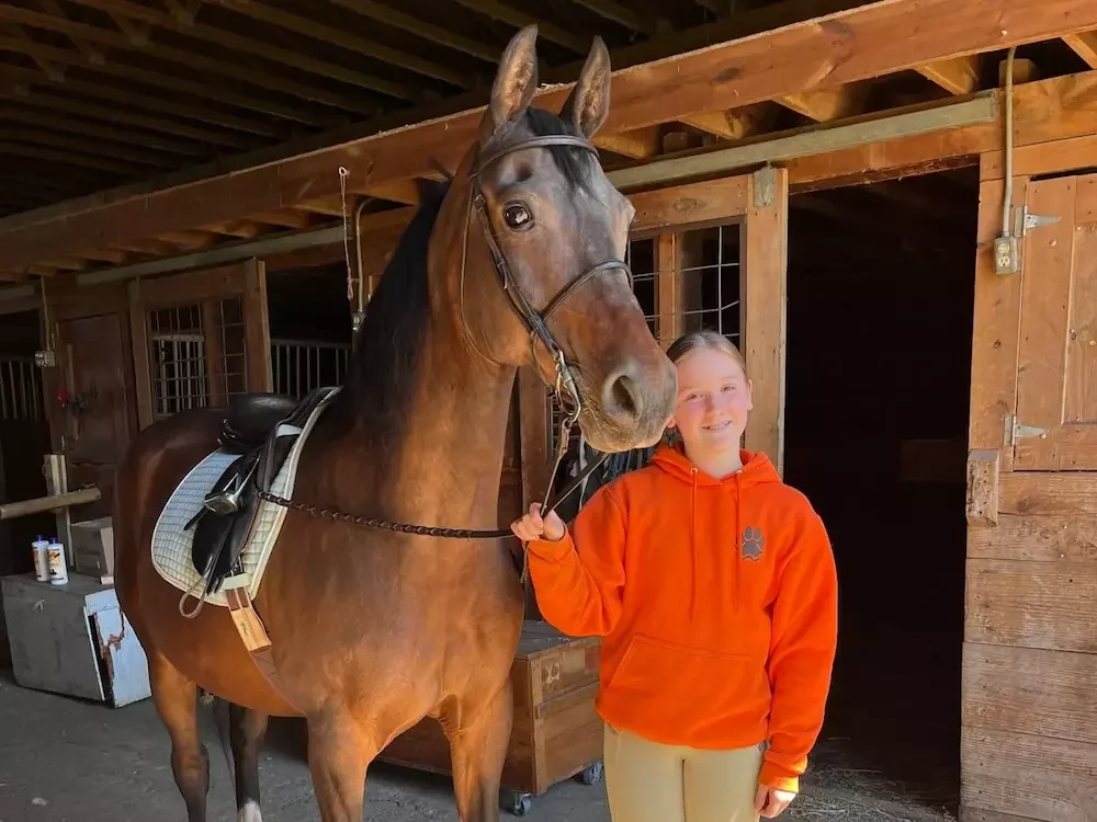 Taz, Arabian Hackney pony for saddleseat lessons and show ring training at MSB Riding Academy